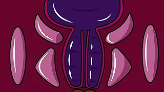 11911 big tits porn videos